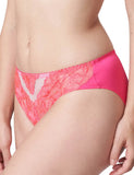 PrimaDonna Belgravia Rio Briefs 563220