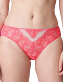 PrimaDonna Belgravia Rio Briefs 563220